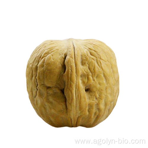 New Crop Walnut in shell for sale